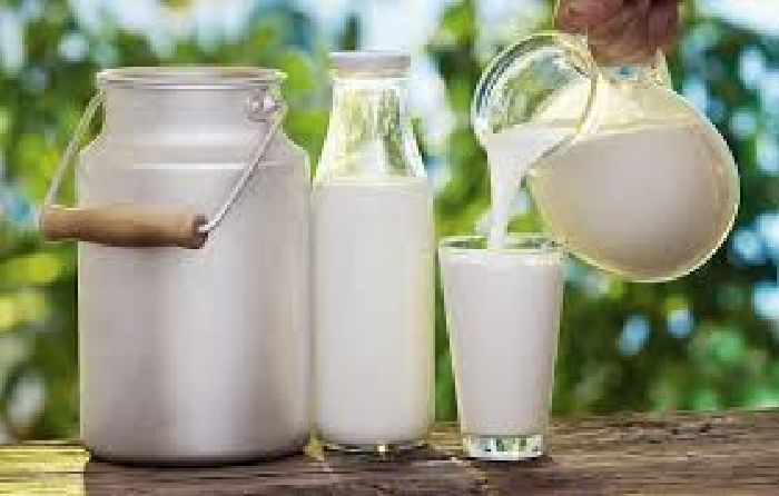 Sữa chua chưa tiệt trùng tốt hơn cho sức khỏe