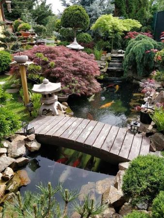 Làm vườn Nhật Bản là một loại nghệ thuật