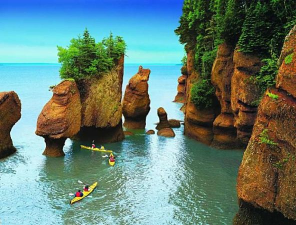 Vịnh Fundy