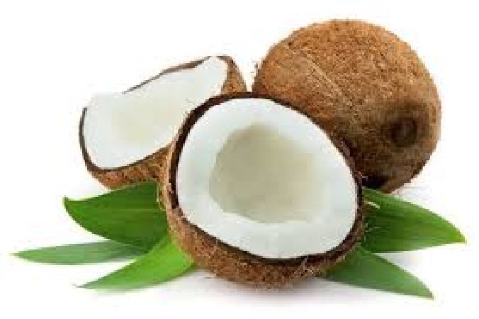 Đặc sản Trà Vinh dừa sáp