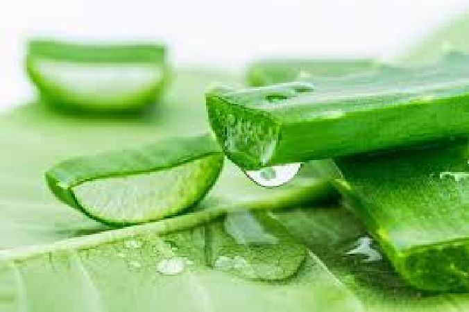 Trị tàn nhang bằng nha đam