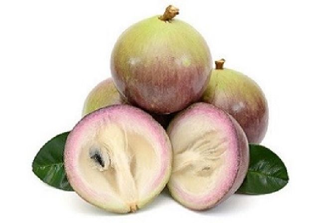 Vú sữa