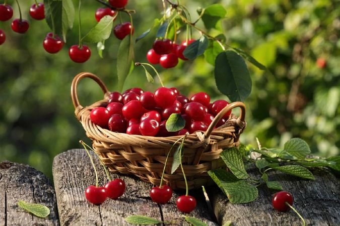 Quả cherry