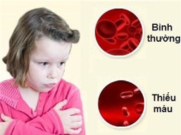 Chữa suy dinh dưỡng, thiếu máu, bồi bổ cơ thể