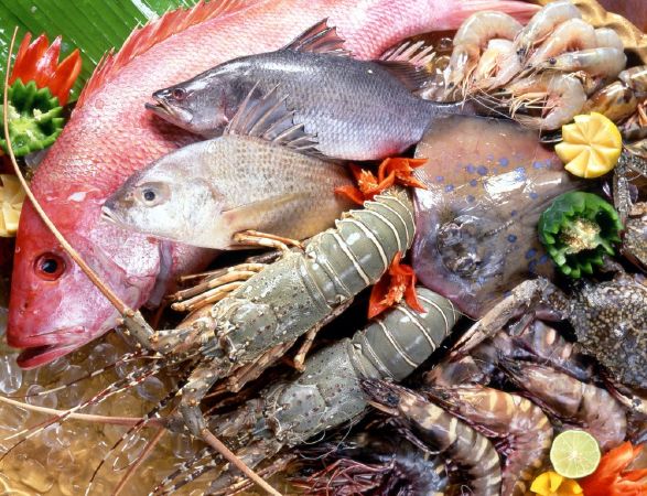Cần chọn hải sản tươi sống