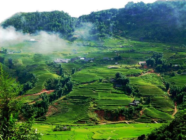 Mộc Châu (Sơn La)