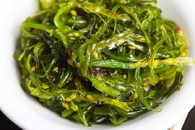 Rong biển Mỹ Khê