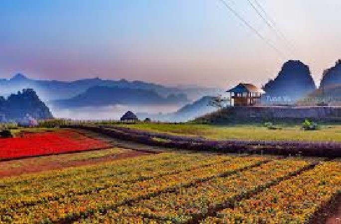 Bình nguyên xanh Khai Trung