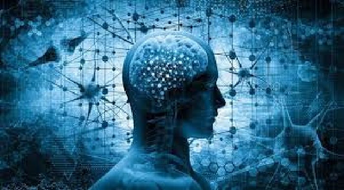 Chức năng não tốt hơn