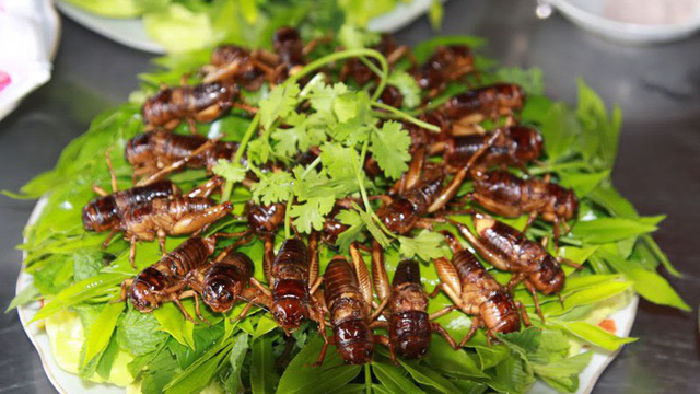 Dế chiên