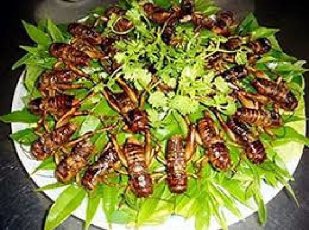 Dế chiên giòn