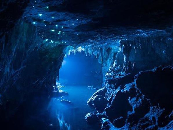 Hang động Waitomo Glowworm