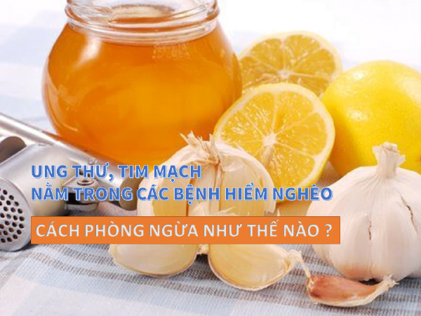 2. Ngăn ngừa bệnh ung thư
