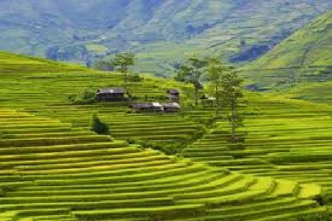 Ruộng bậc thang xã La Pán Tẩn