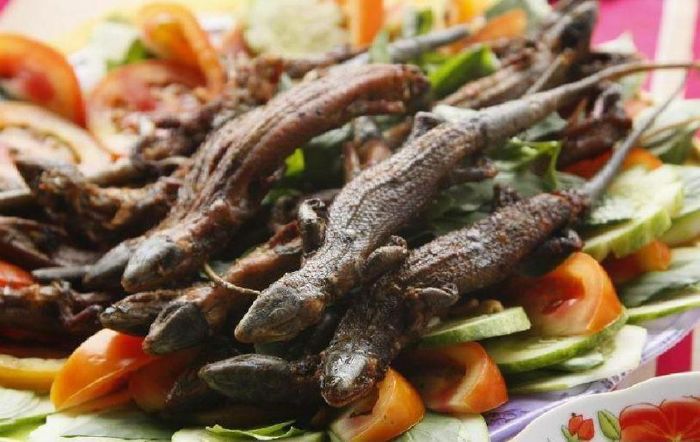 Thằn lằn núi Bà Đen