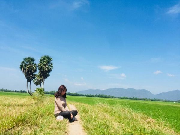 Thốt nốt trái tim