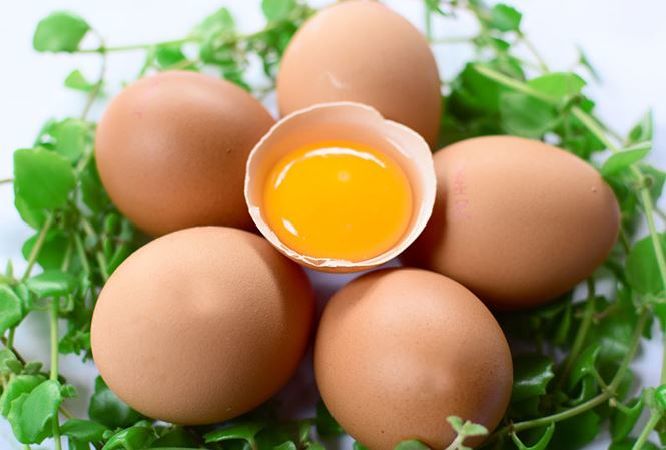 Lòng đỏ trứng không tốt cho bạn
