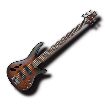 Bass Guitar