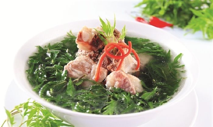 Rễ đinh lăng hầm đuôi heo