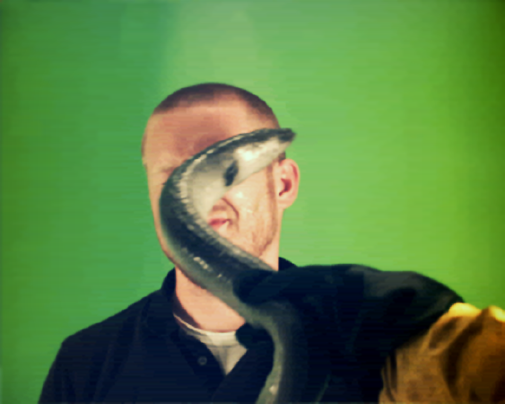 EelSlap.com