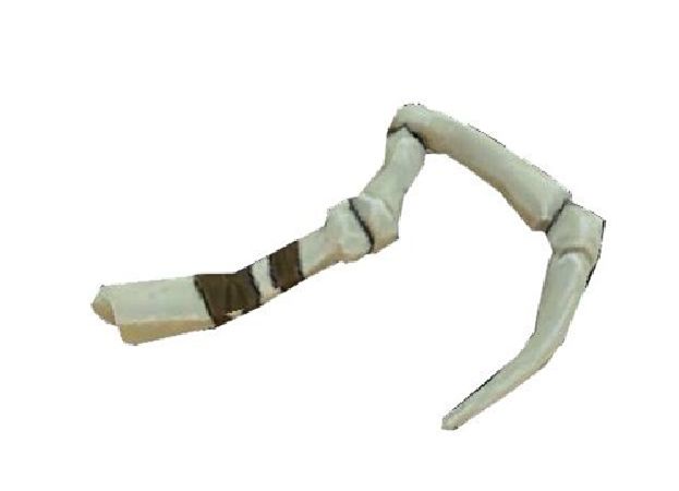 Dragonclaw Hook