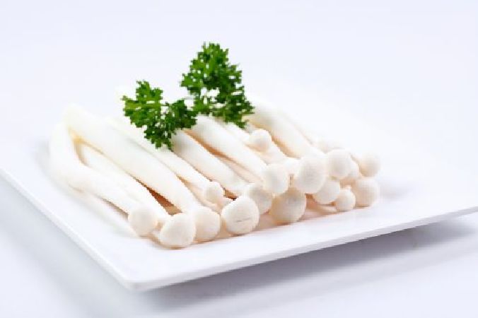 Nấm hải sản