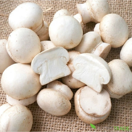 Nấm mỡ