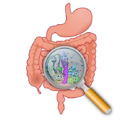 Tiêu diệt nấm Candida