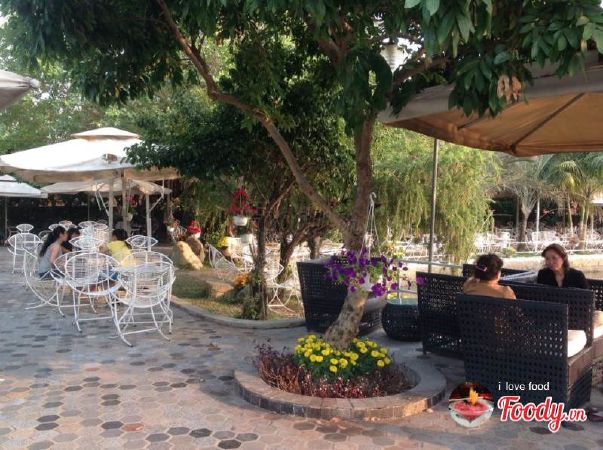 Thảo Nguyên Xanh Cafe