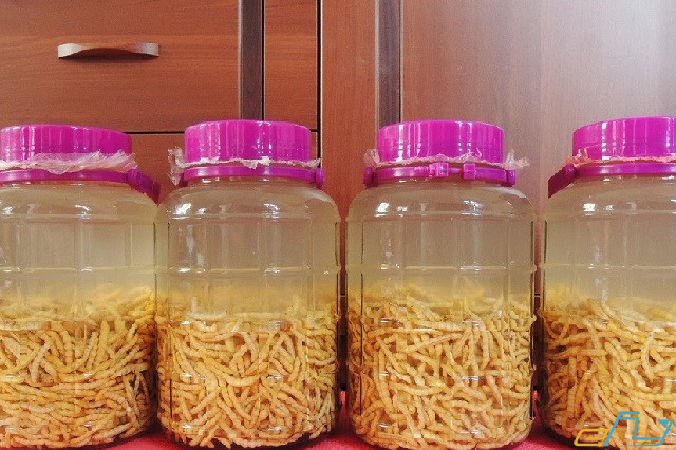 Rượu chít Tam Đảo