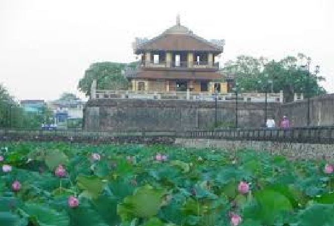 Hồ sen Tịnh Tâm