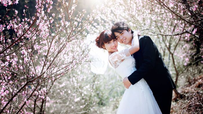 Vườn Đào Nhật Tân