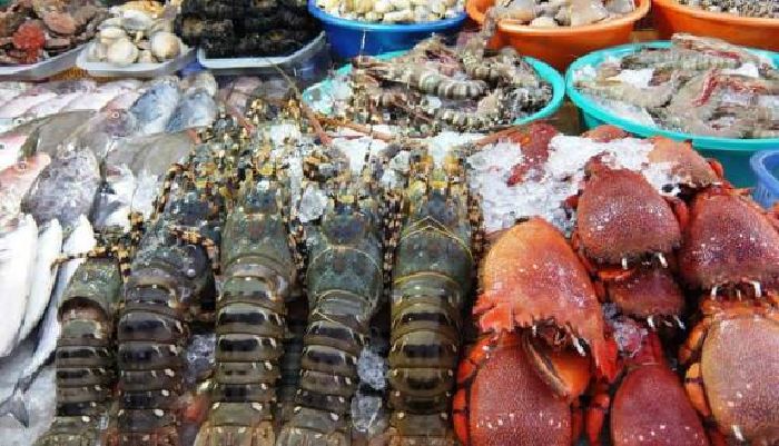 Vua Hải Sản