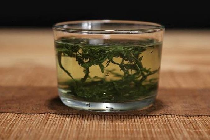 Mugwort Tea