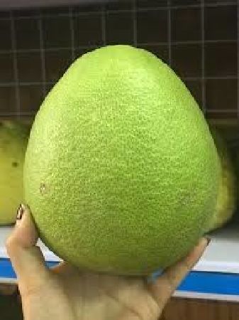 Bưởi