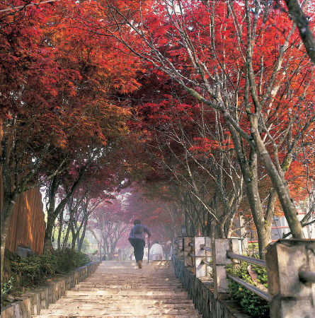 Taipingshan National Forest Recreation Area