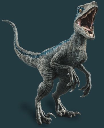 Velociraptor