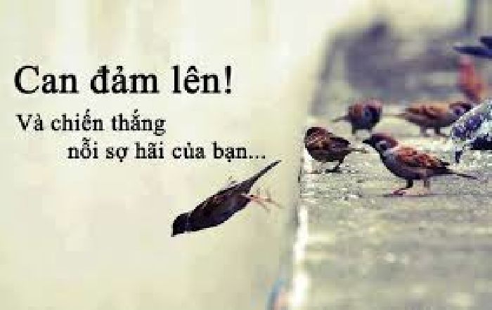 Đối diện với nỗi sợ.