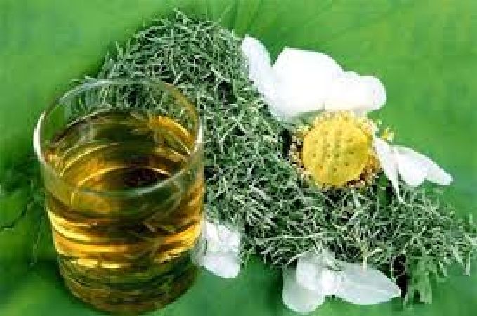 Trà sen cải thiện lưu thông máu
