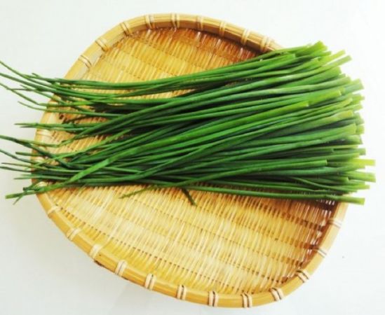 Allium tuberosum