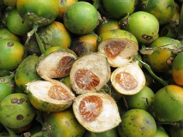 Areca nut
