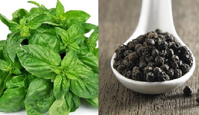 Hạt tiêu và húng quế
