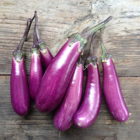 Eggplant