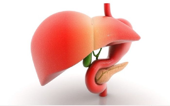 Các bệnh về gan