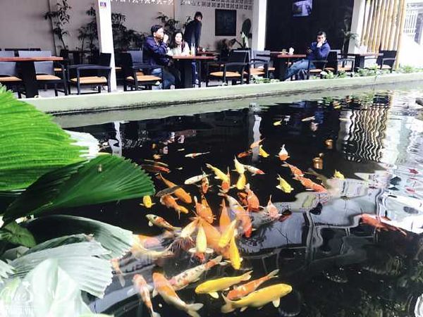 Công Viên Cá Koi Rin Rin Park