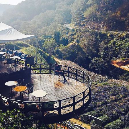 Cafe F Cánh đồng hoa Đà Lạt
