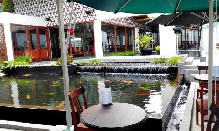 Cafe Kem Koi