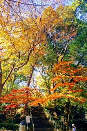 Ueno Park