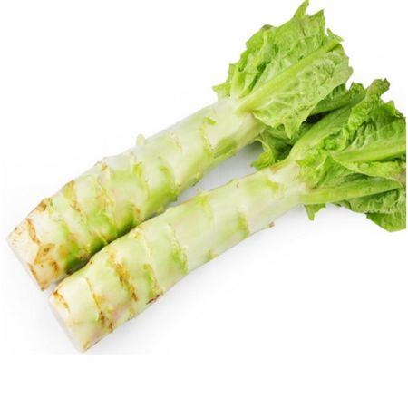 Celtuce