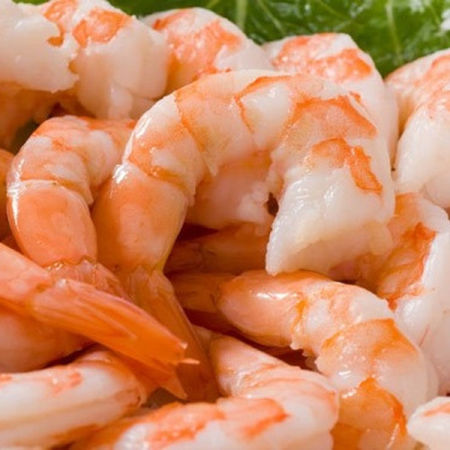 Shrimp